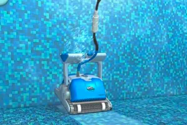 Dolphin Pool Cleaner Family Image